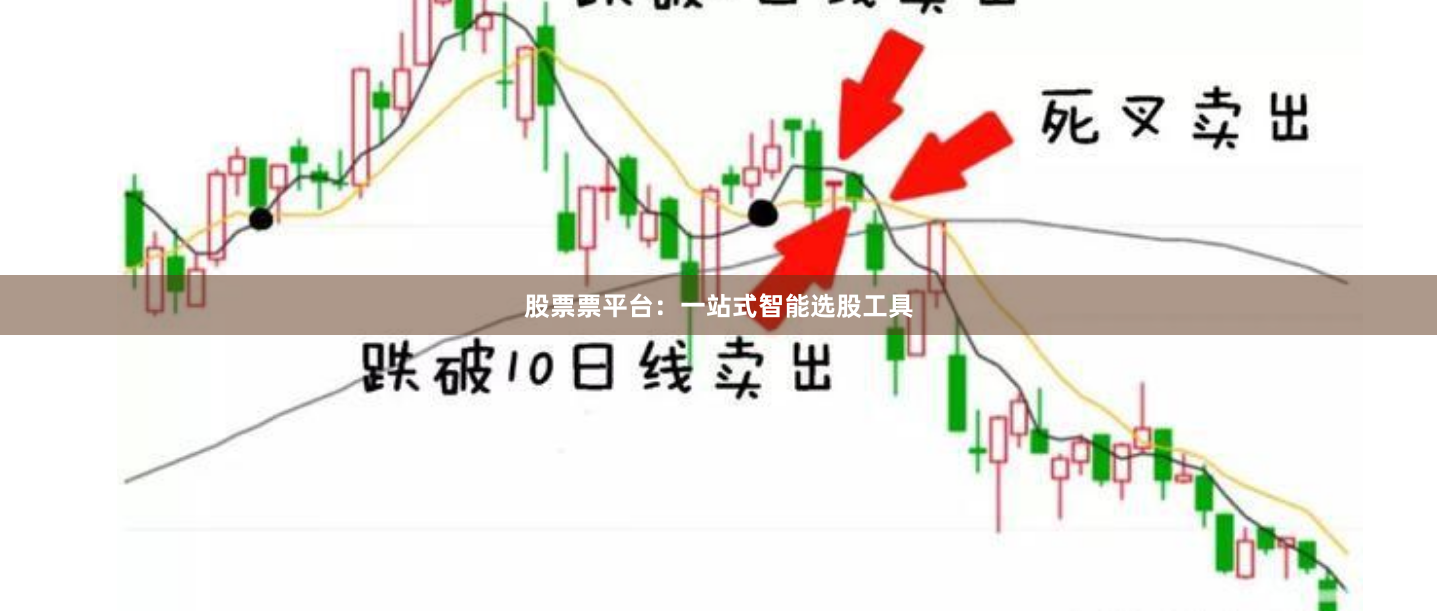 股票票平台：一站式智能选股工具
